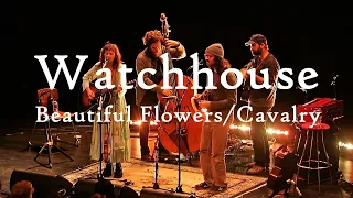 Watchhouse - Beautiful Flowers/Cavalry  Live in Berlin