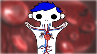 How Does Your Heart Work? - Science for Kids