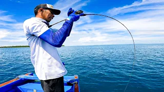 Spot Belum Pernah di Pancing, Sambaran Ikan Membabi Buta !! Full STrike