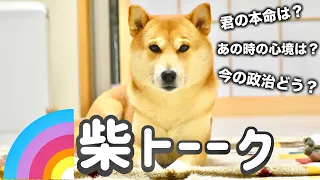 ついに明かされる真実！柴犬こむぎの本命は誰だ！？皆様からの質問にお答えいたします！！