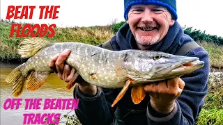 Beating the floods Dead baiting for Pike : Off the beaten track