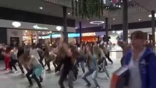 Flashmob Stücki2014