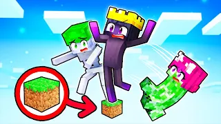 Minecraft But We're MOBS on ONE TINY BLOCK!