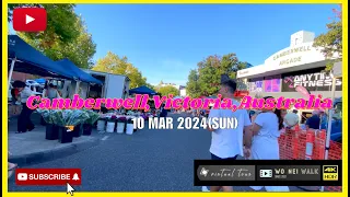 ┏ City Walk┛Enchanting Camberwell：Journey through Victoria's Hidden Gem┊Walking ┊Melbourne┊Australia