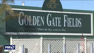 Golden Gate Fields now deadliest horse racing facility in California, activists say