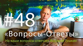 "Вопросы-Ответы", Выпуск #48 - Василий Тушкин отвечает на ваши вопросы