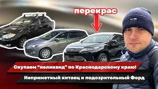 Покупка BYD в Новороссийске, FORD в Джубге, осмотр HARRIER в Краснодаре