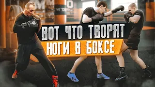 MANEUVERS and DEFENSIVE MOVEMENTS on THE LEGS in BOXING