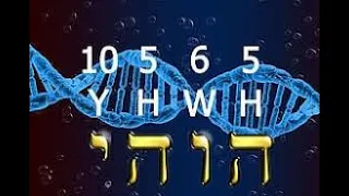 o nome verdadeiro do criador (YHWH=YAUH) está em nosso (DNA)