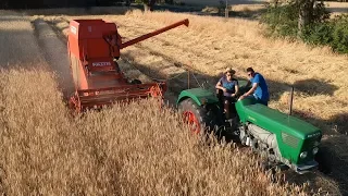 Harvesting with Deutz & Fahr