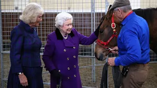 The queen and her American cowboy 'We had an extremely close relationship'