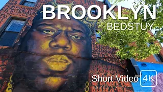 NEW YORK CITY Walking Tour [4K] BROOKLYN - BEDSTUY (Short Video)