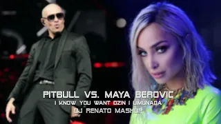 Maya vs Pitbull - I Know You Want Dzin i Limunada (DJ RENATO MASHUP)