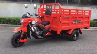 China newest motocarro: 250cc Zongshen engine model moto cargo