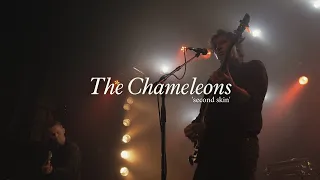 CHAMELEONS - Second Skin (Live in Porto 2023)