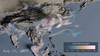 Impact of the Asian Summer Monsoon (2022 Simulation Version)