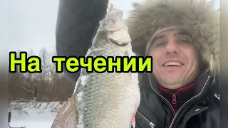 Ловля плотвы на мормышку зимой на течении