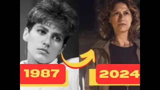 elenco da novela Brega e Chique antes e depois