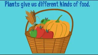 | Uses of plants for kids | Plants give us food  | Food from plants | Food from plants for kids |