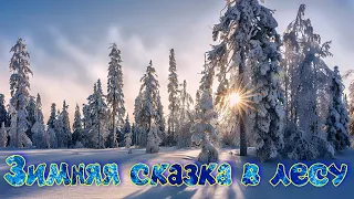 Зимняя сказка в лесу и очень красивая музыка для отдыха. (автор музыки в видео Сергей Грищук)