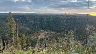 Arizona Black Bear hunt