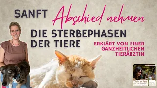 Abschied nehmen von deinem Tier: Die Sterbephasen erklärt von einer ganzheitlichen Tierärztin