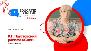 Русский язык, 9-й класс, К.Г. Паустовский рассказ «Снег»