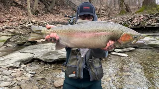 Steelhead Fishing (2023) (Erie, Pa)