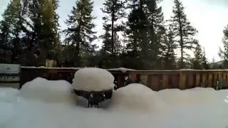 Big Snow Melt Time Lapse in Evergreen Colorado - April 2016