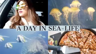 Sea-Life MUNICH 🇩🇪 VLOG | a day in Munich City!