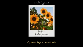 Sunflower - Rex Orange County (legendado)