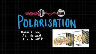 Polarisation of Light & Malus's Law (New Syllabus) | A Level Physics