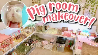 HUGE GUINEA PIG ROOM MAKEOVER! ❤ Building New Stacked C&C Cages
