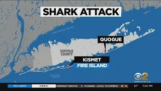 Teenage surfer bitten by shark off Fire Island