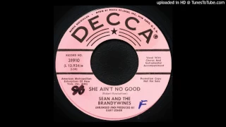 Sean & The Brandywines - She Ain't No Good - 1966 Garage Rock - Gary Usher Produced