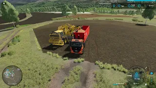 ✅ FS 22 THE VALLEY 🚜 #22 🥕 COLLECT CARROTS AND HARVEST CANOLA 🌿