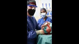 Doctors transplant genetically modified pig heart into a man