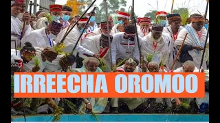 New Oromo Music HD | Irreecha Oromo Music 2023 | Sirba Afaan Oromoo Haaraa | Pride