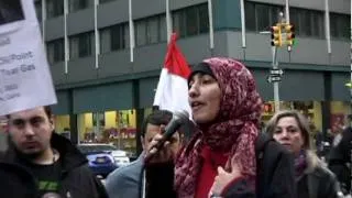 In Solidarity with Egypt | Occupy Wall Street Video