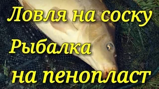 Ловля рыбы на пенопласт.Карп.Лещ.Карась.Плотва.Рыбалка.Fishing