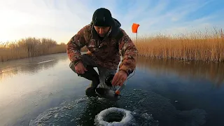 Первый лед 2021-2022! Рыбалка на жерлицы! ПОПАЛИ НА РАЗДАЧУ! Лед как зеркало, аж страшно ходить!