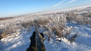 Трудовая Охота на зайца в -25 😳 Удача была на моей стороне 👍👍Мр-155 в деле! hunting and fishing