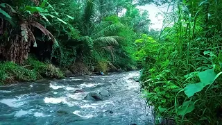 Nature water sounds meditation soothing sleeping healing stress relief study