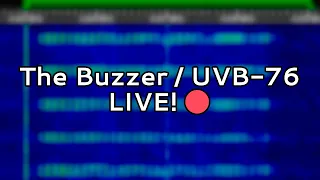 The Buzzer Live!