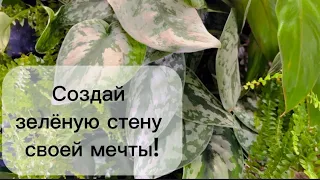 Зелёная стена в доме. 🌿☘️💚Как сделать это правильно!😊