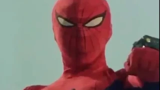 Spider Man 1978-1979 (Japanese version)