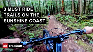 3 Must Ride Trails on the Sunshine Coast, British Columbia | Local Flavors