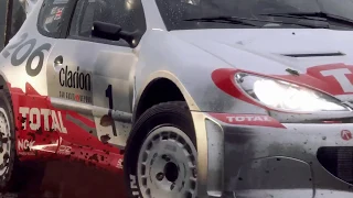 Dirt Rally 2.0 DLC - Peugeot 206 WRC