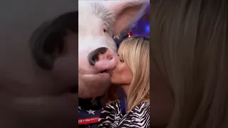 I kissed a pig and I liked it...