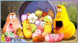 LARVA TUBA 2023 - LARVA SEASON 5 - BEST EPISODE - NEW VERSION LARVA - FUNNIEST CARTOONS